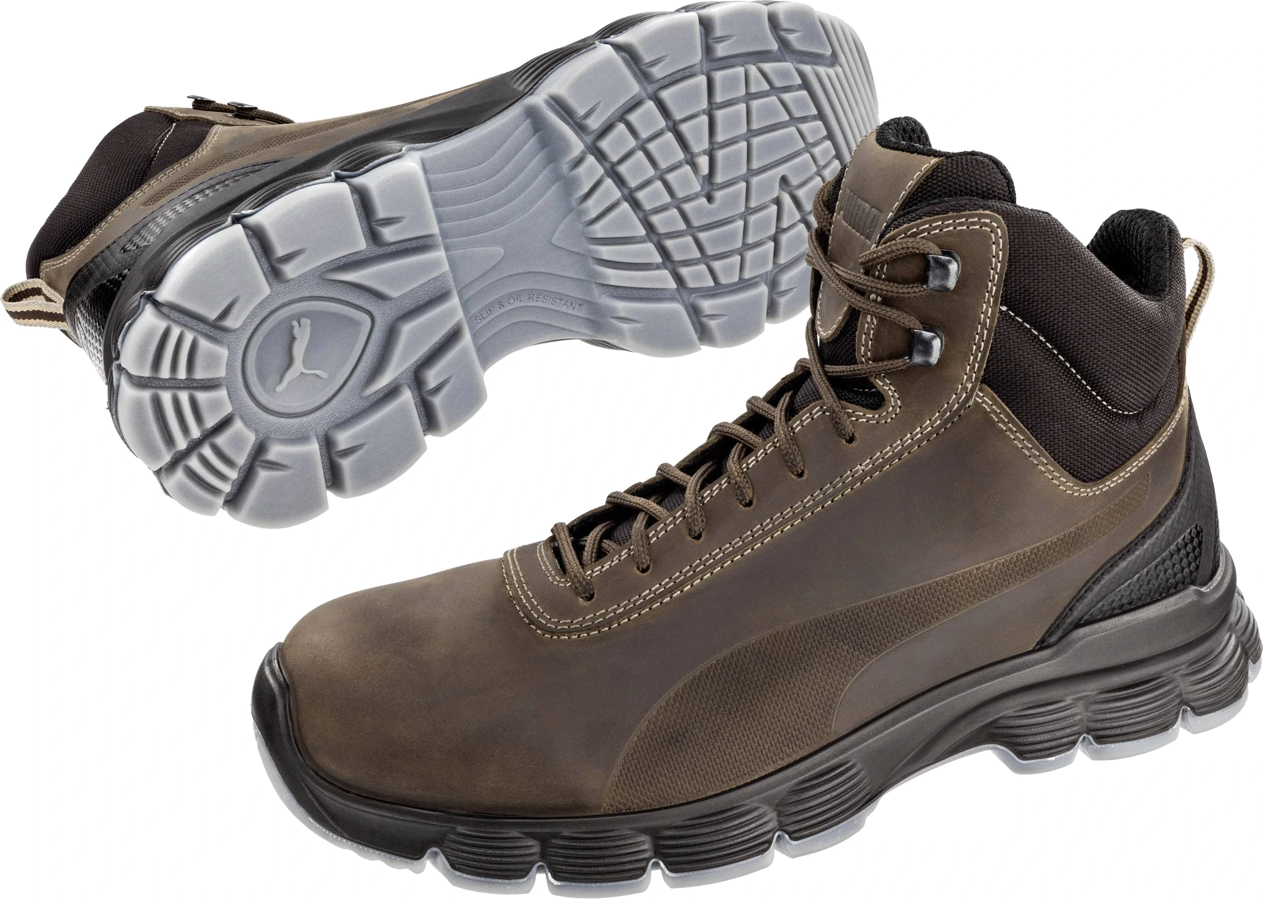 CONDOR BROWN MID